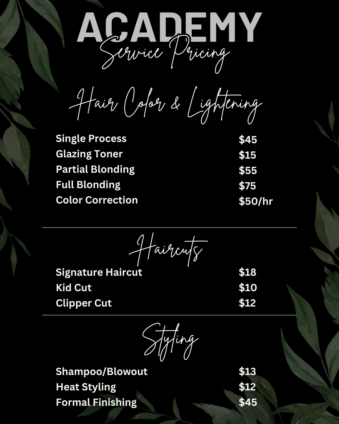Price list for hair services at Academy, with costs for color, haircuts, and styling.