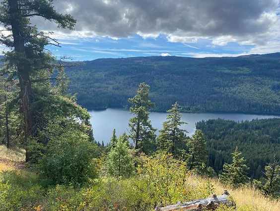A view of a lake surrounded by trees and mountains