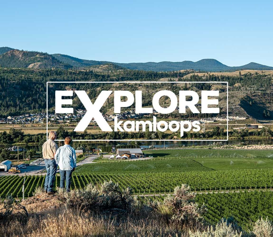 A couple standing on top of a hill overlooking a vineyard.