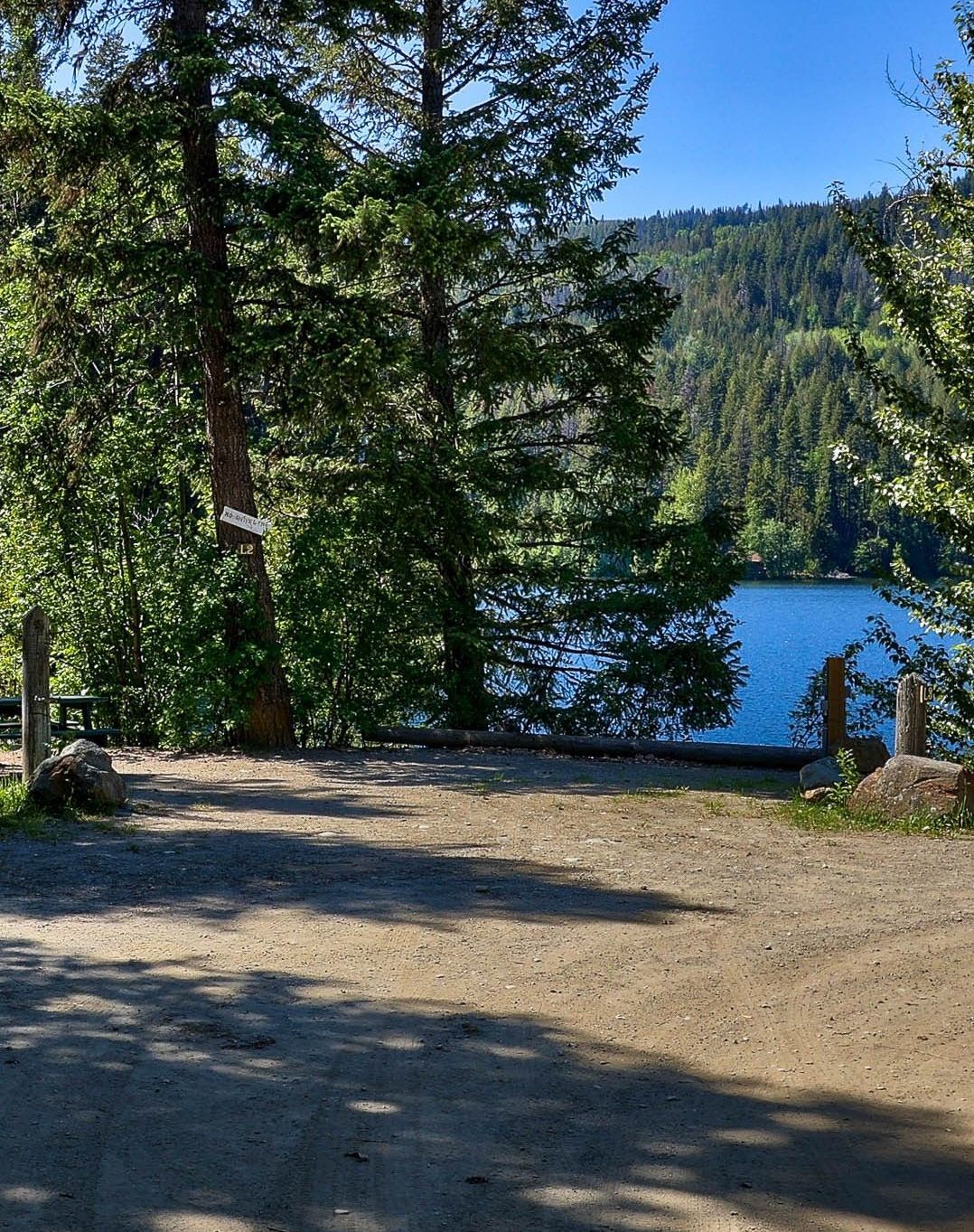 A dirt road leading to a lake surrounded by trees