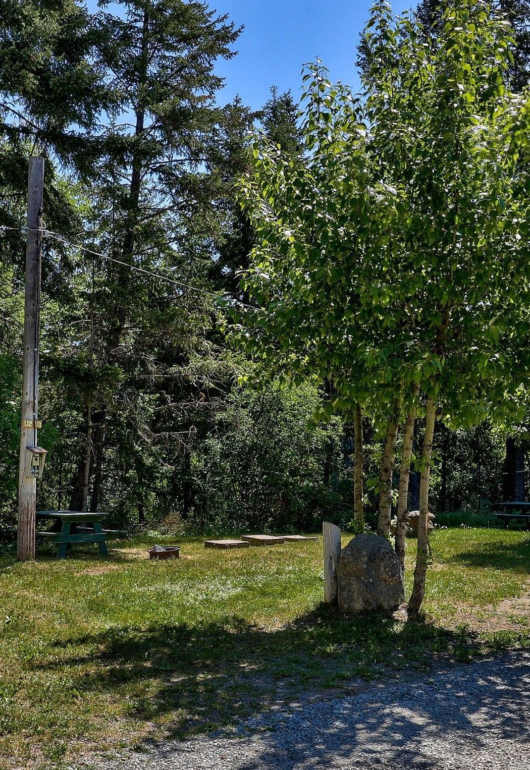 A lush green field with trees and a picnic table in the background.