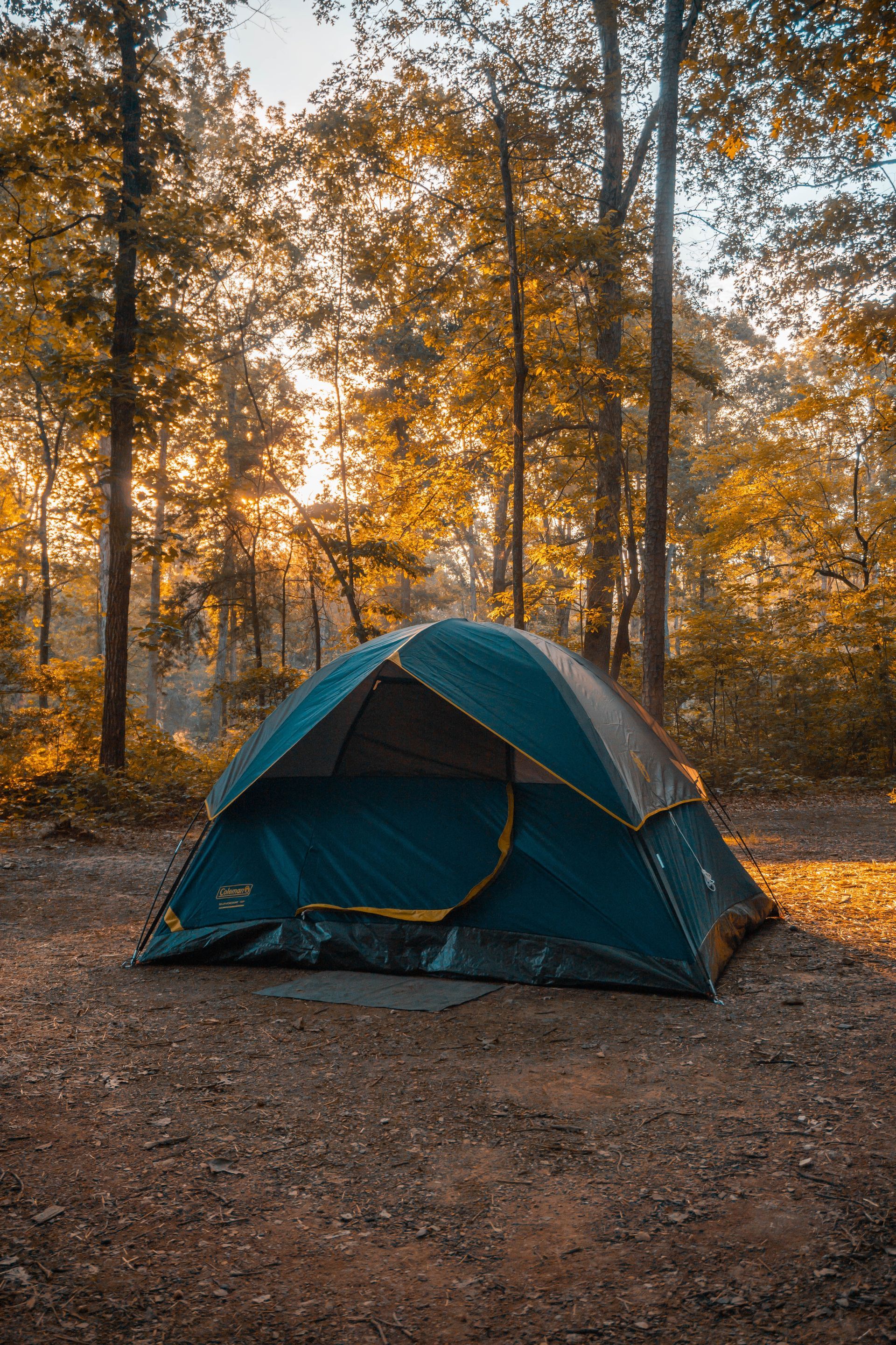 A blue tent is sitting in the middle of a forest.