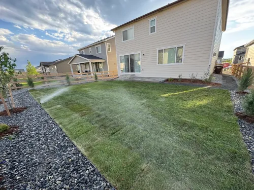 Backyard with fresh sod being watered by a sprinkler system. Houses and gravel landscaping are visible.