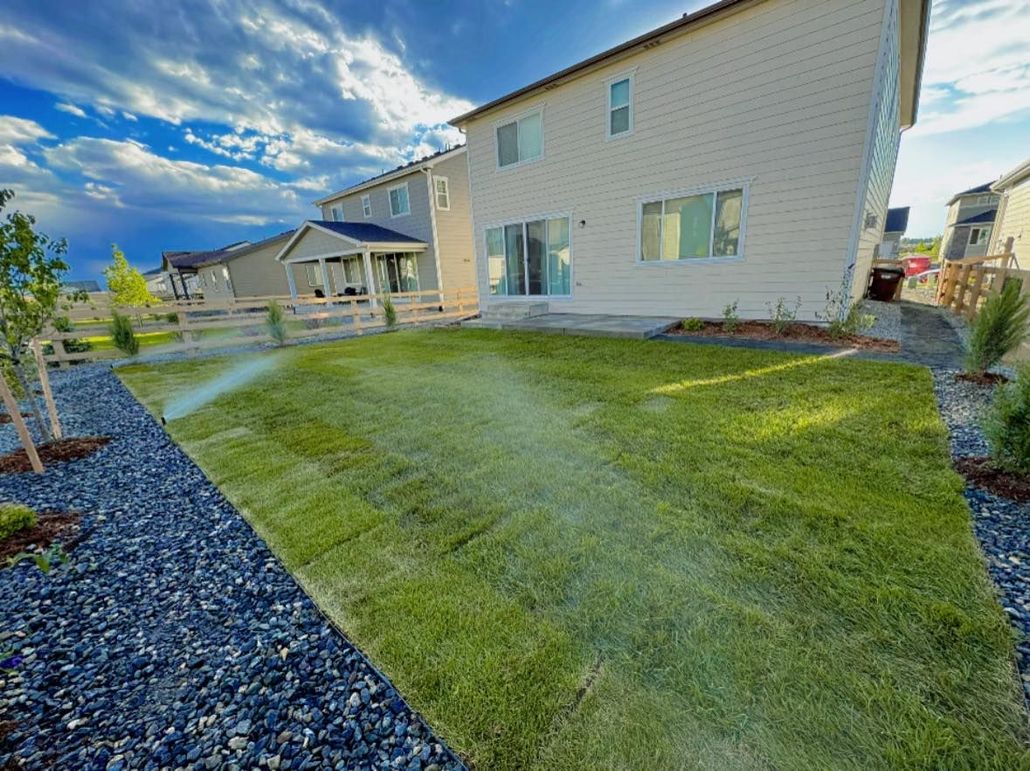 Lawn with a sprinkler system watering it, next to a house and blue gravel. Blue sky in background.