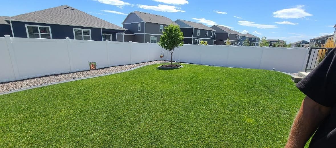 A backyard with green grass, a small tree, white fence, and blue sky.
