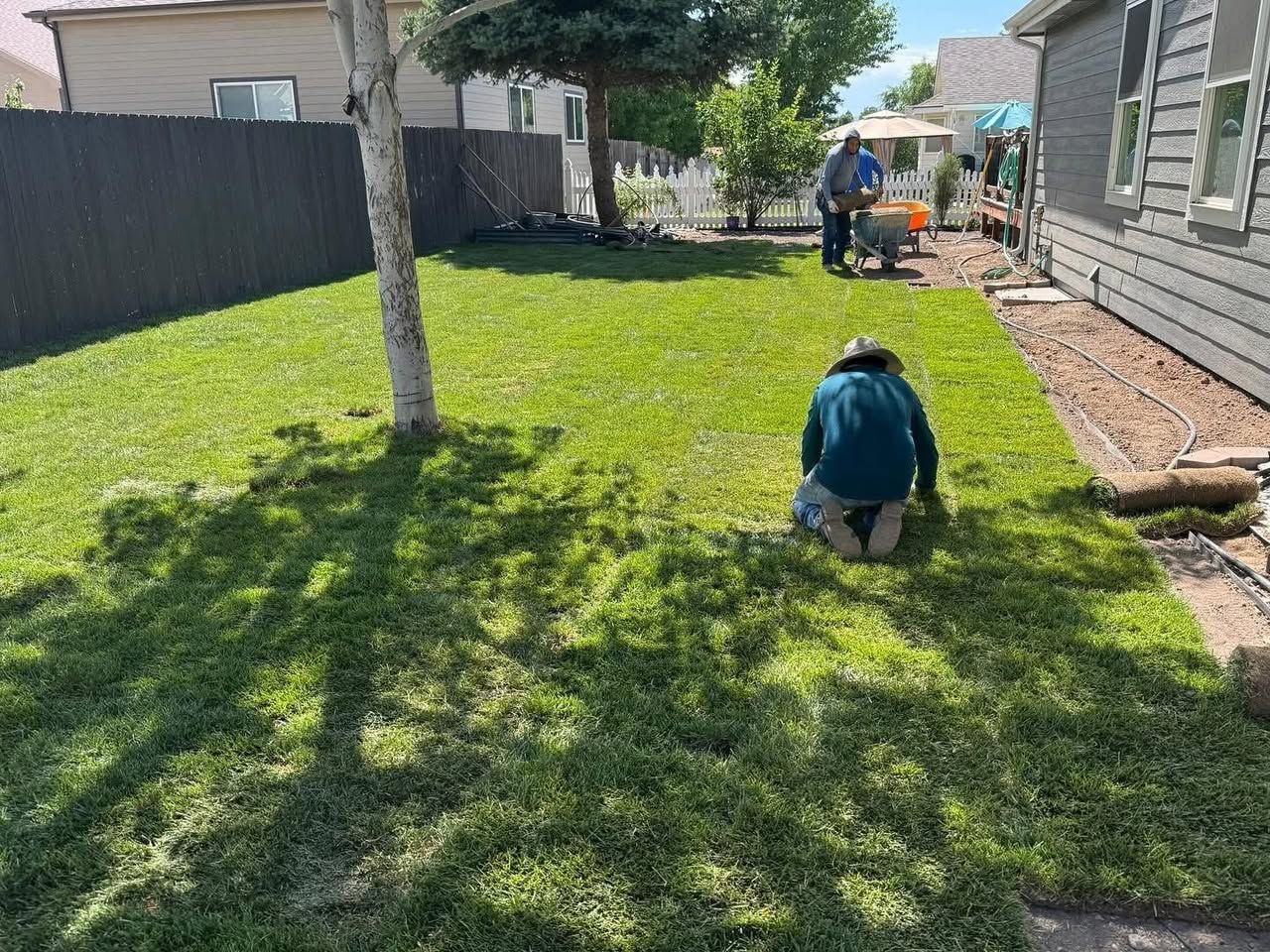 Person laying sod in a yard with other workers nearby. Green grass, trees, and houses.