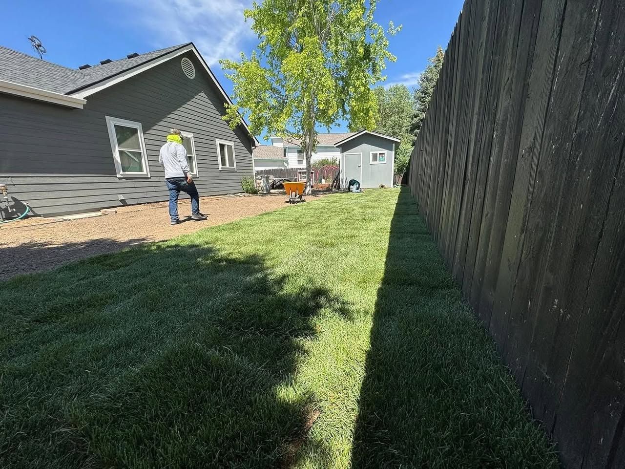 Person mowing a green lawn next to a dark wooden fence, a house, and a shed on a sunny day.