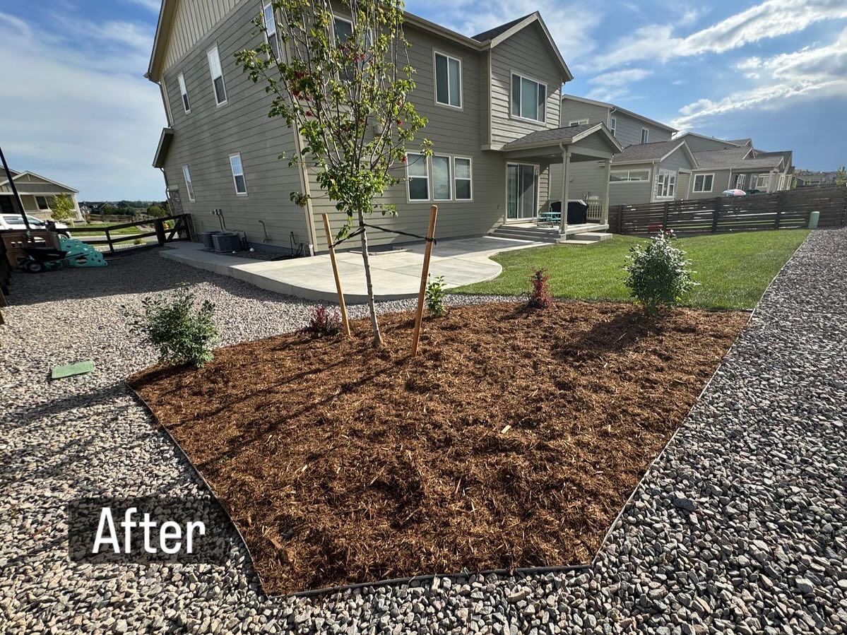 Backyard landscaping with mulch, small trees, and gravel border next to a two-story house.