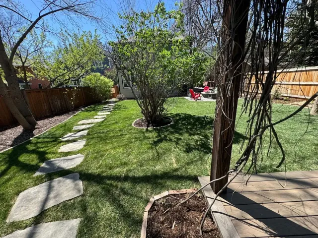 Lush green backyard with a stone path, grassy lawn, trees, and a wooden fence on a sunny day.