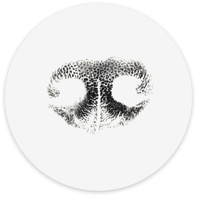Ink Nose Print
