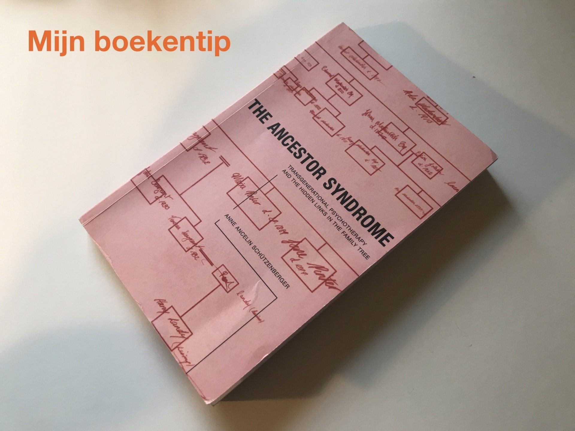 Familiepatronen