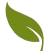 Feuille verte à tige courbée, représentant la nature ou la croissance.