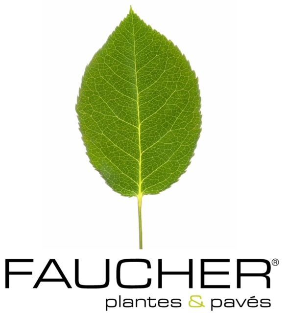 Green leaf with 