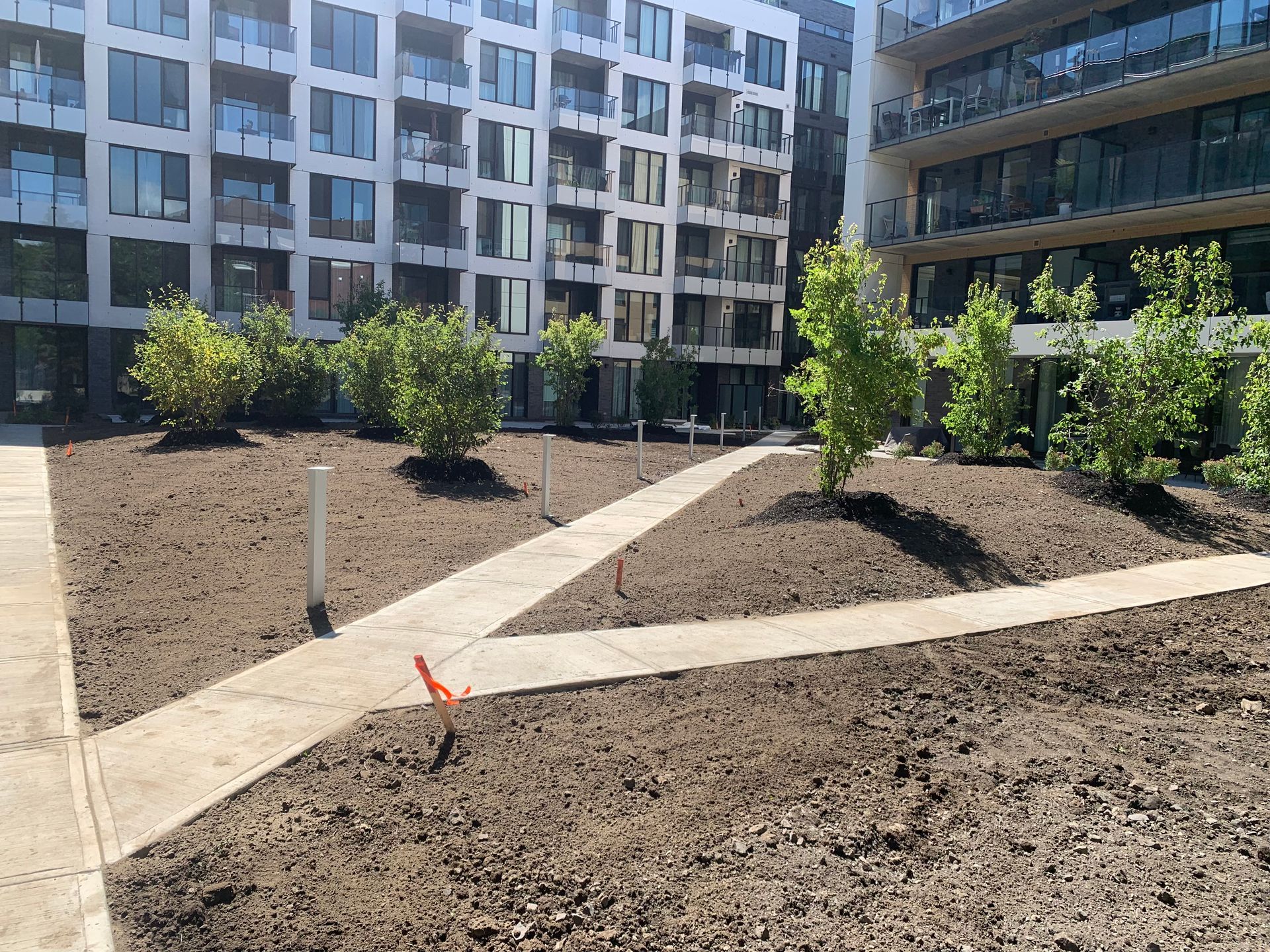Un chemin pavé traverse un jardin fraîchement aménagé, avec un bâtiment moderne en arrière-plan.