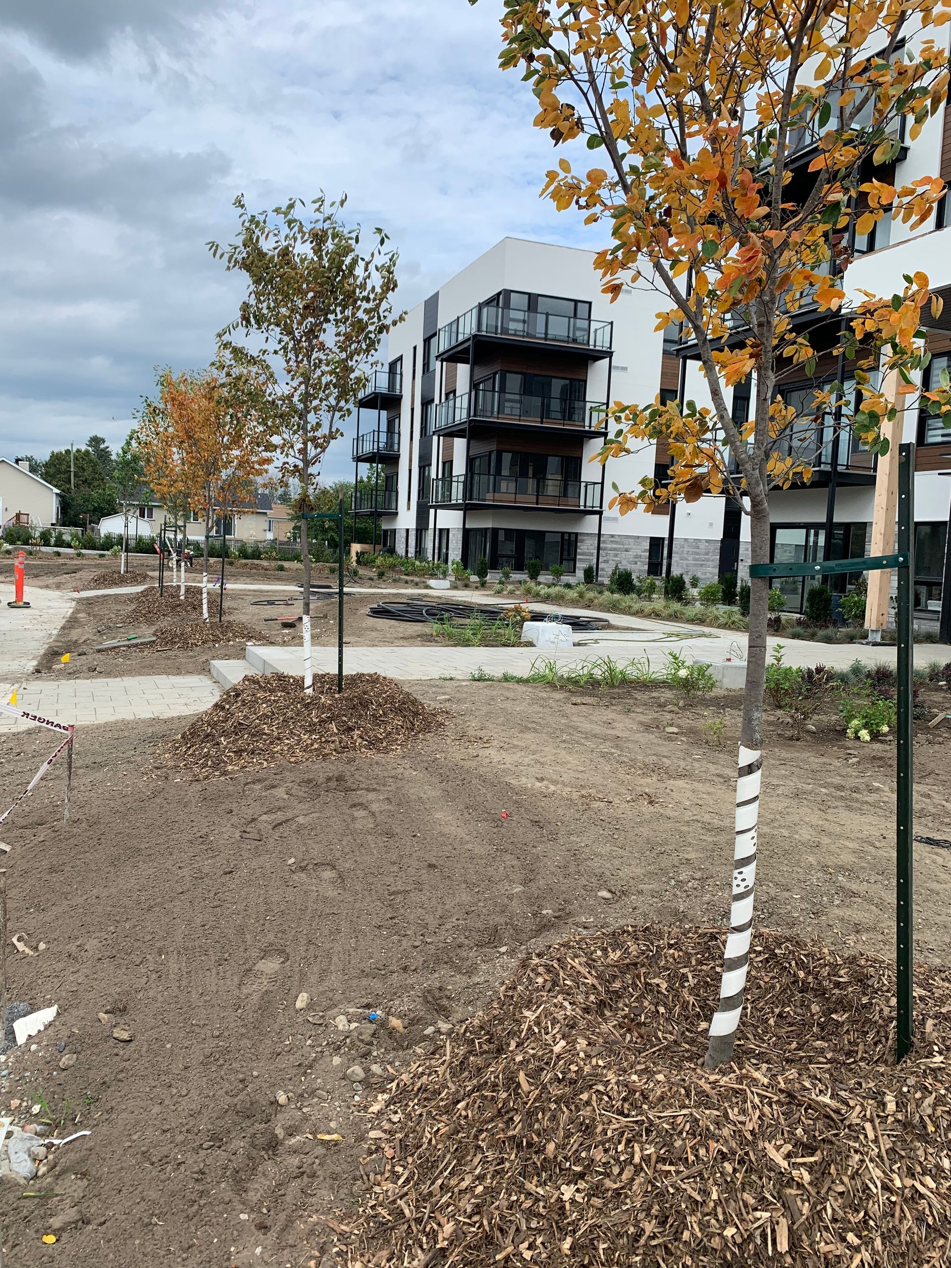 Arbres nouvellement plantés, recouverts de paillis, devant un immeuble blanc moderne avec balcons. Ciel nuageux.