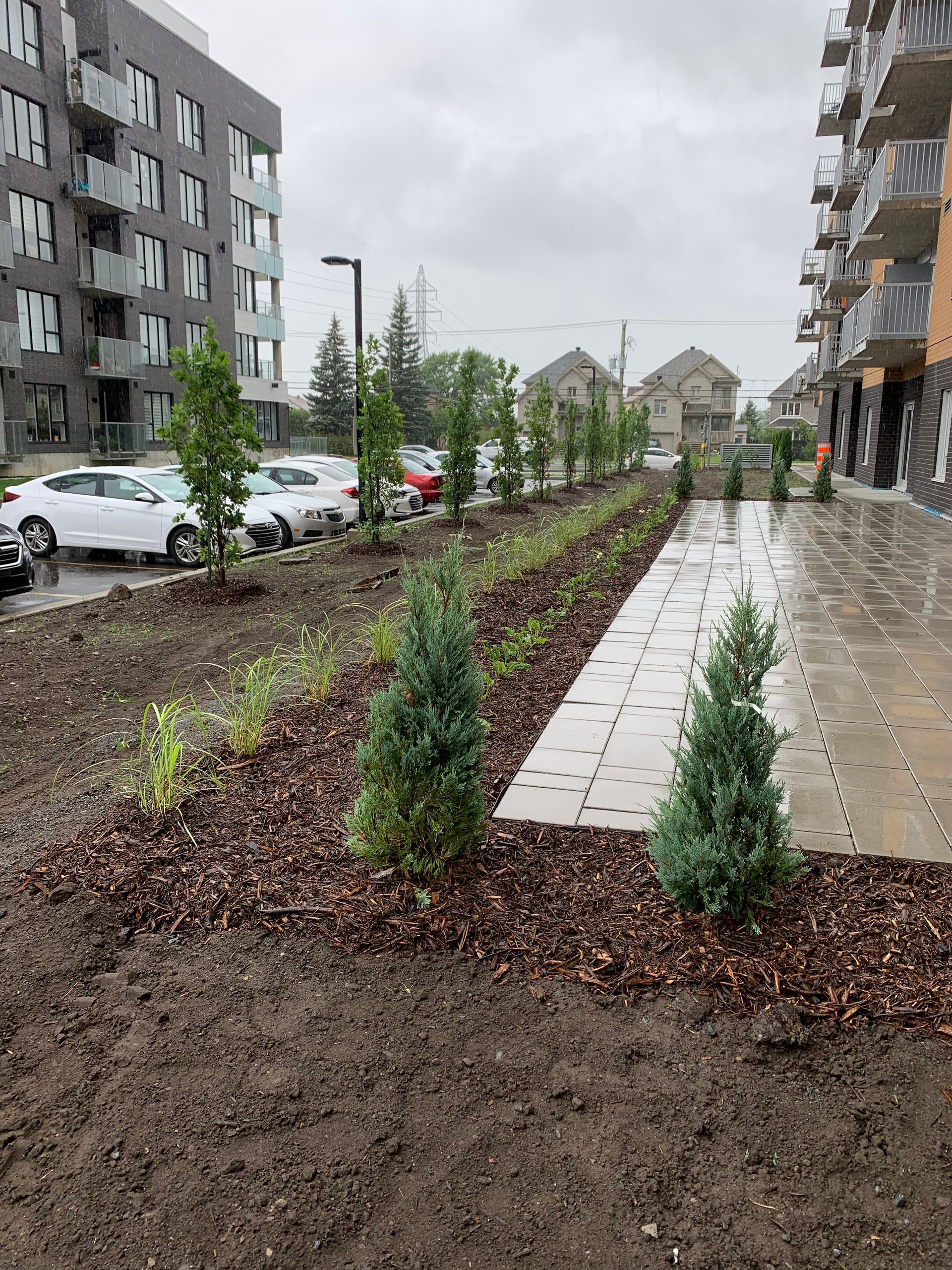 Espace paysager avec arbres et arbustes entre deux immeubles. Allée pavée. Voitures stationnées à proximité. Ciel couvert.