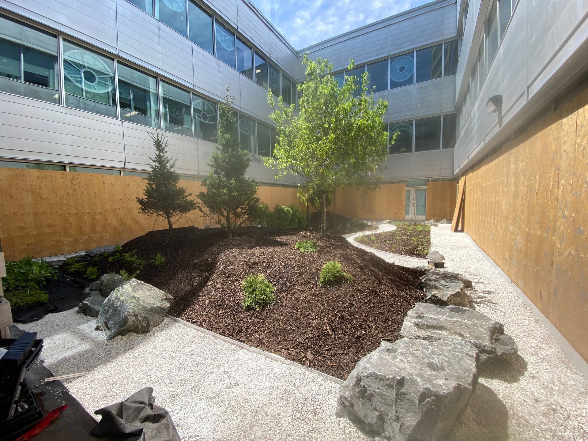 Cour intérieure avec arbres, paillis, rochers et allée claire, entourée d'un bâtiment moderne.
