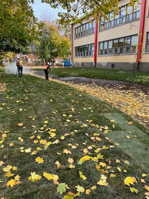 Deux ouvriers pulvérisent un produit sur une pelouse près d'un bâtiment, recouverte de feuilles jaunes.