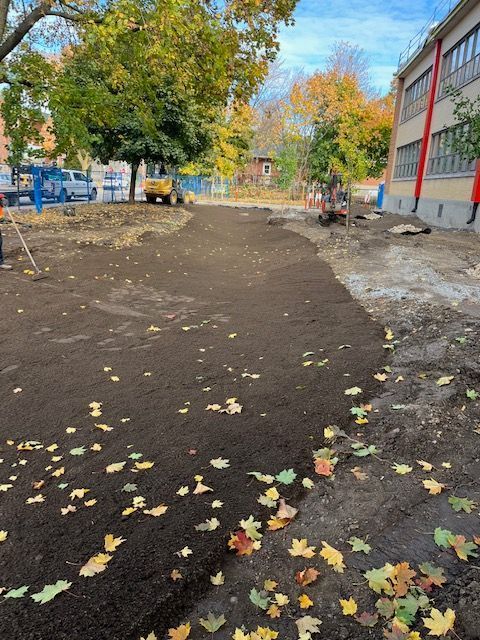 Un chemin de terre est en cours de préparation pour des travaux d'aménagement paysager à côté d'un bâtiment, jonché de feuilles mortes et d'engins de chantier.