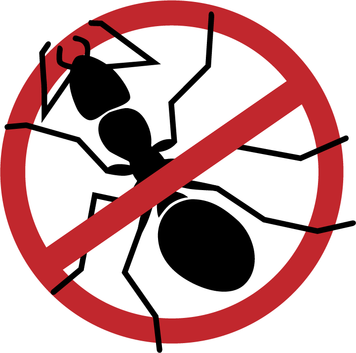 Ants