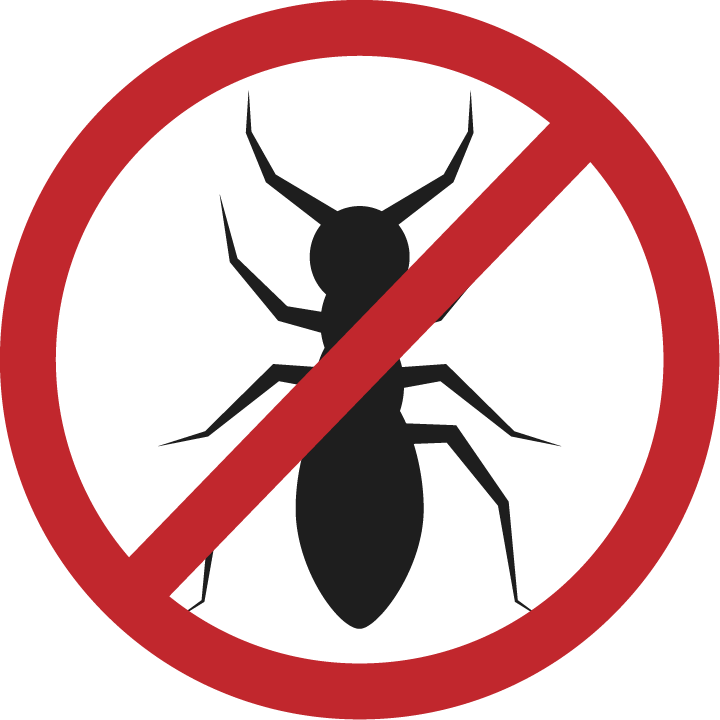 Termites