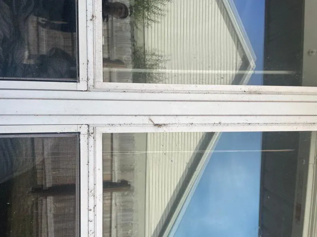 Close-up of a white window with a screen and reflections of a house and sky.