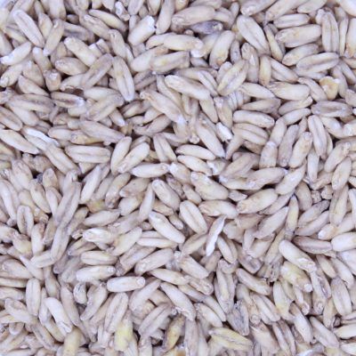 Aurum Oat Malt