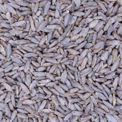 Red River Rye Malt