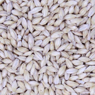 San Jacinto Heritage Malt