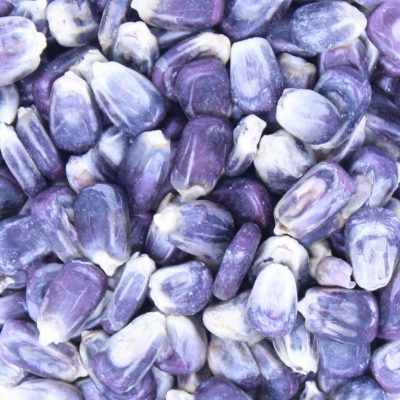 Texas Blue Corn Malt