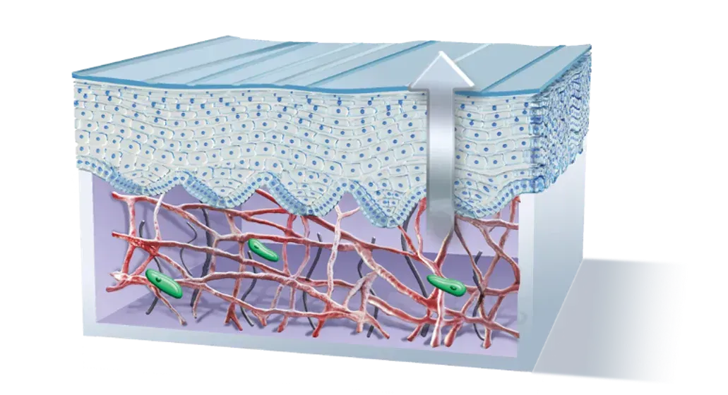 graphic of trihex technology from alastin skincare