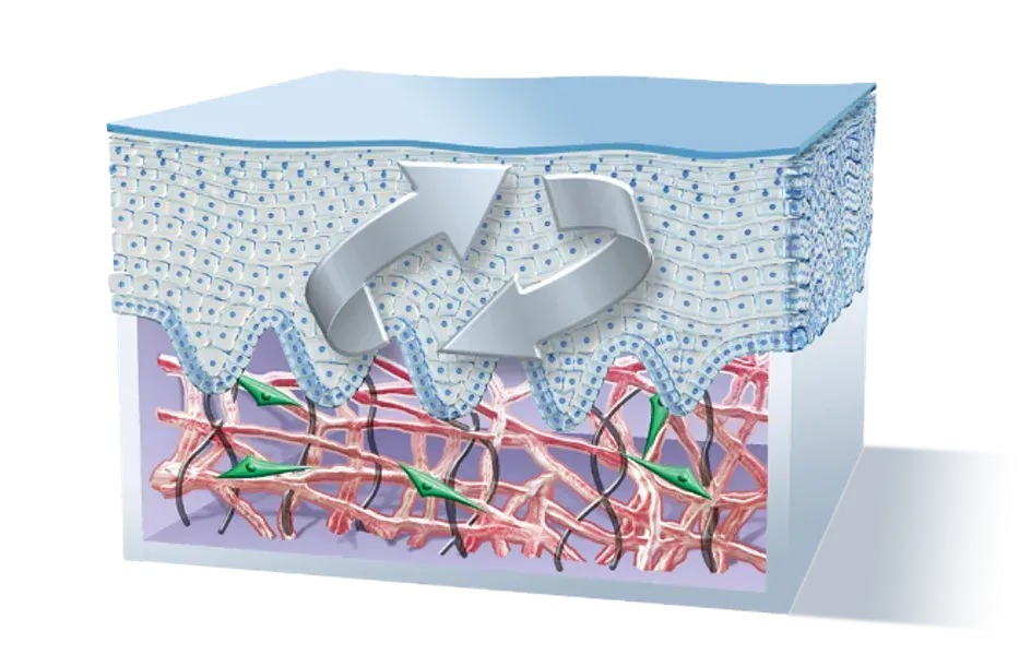 graphic of trihex technology from alastin skincare