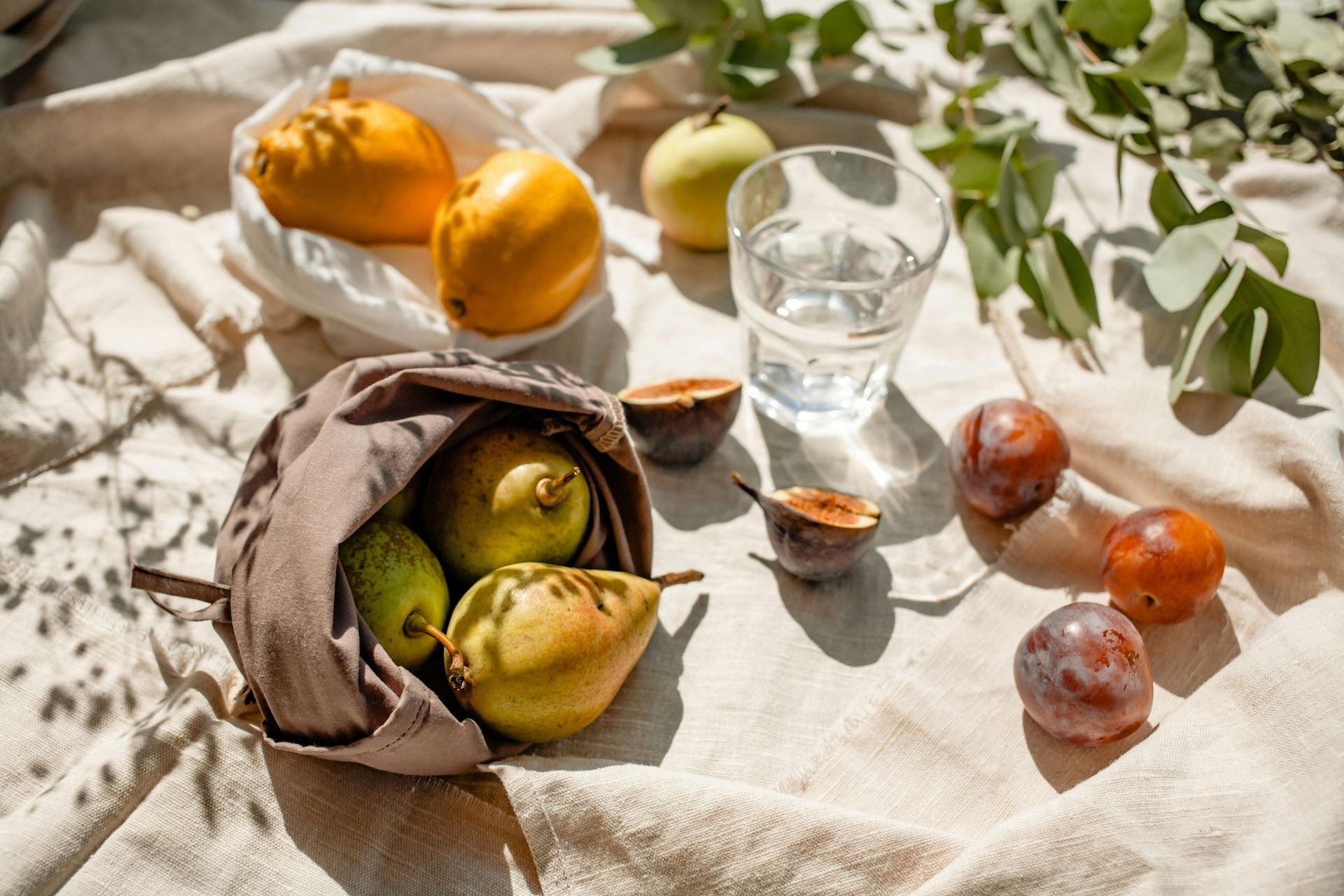 fruits on a tan blanket with a glass of water