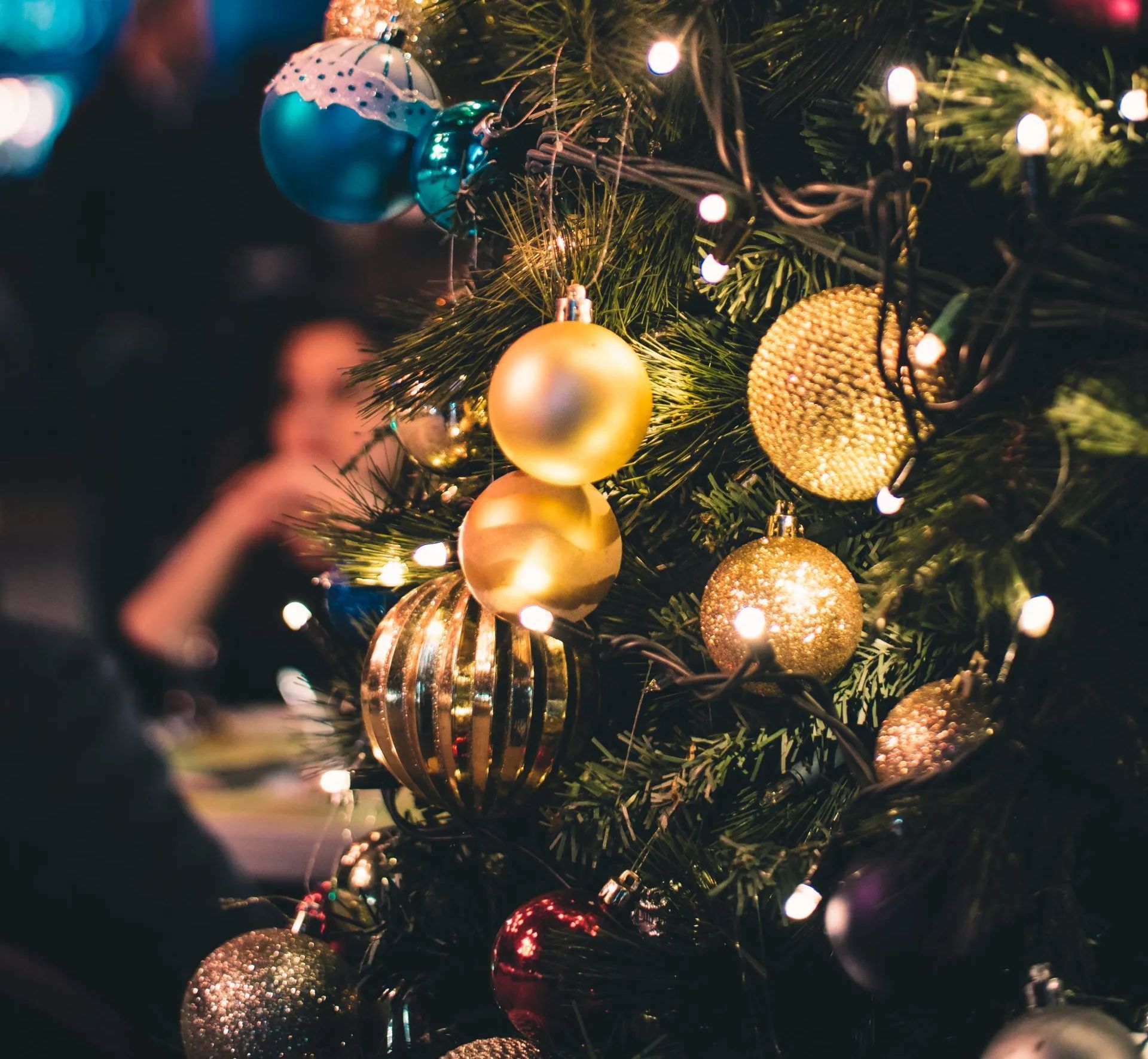 christmas tree closeup