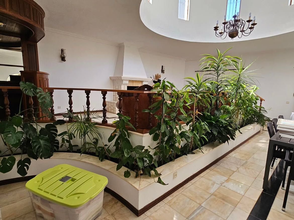 Remodelação de sala Quarteira — PRO RMR