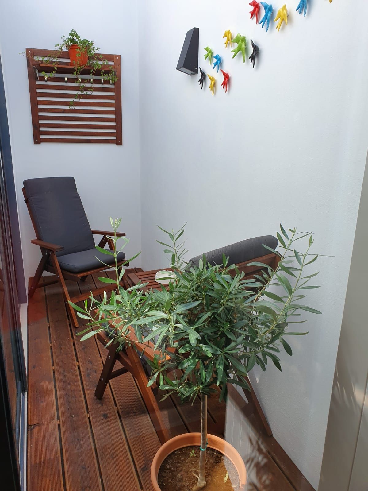 Remodelação interior Loulé - PRO RMR