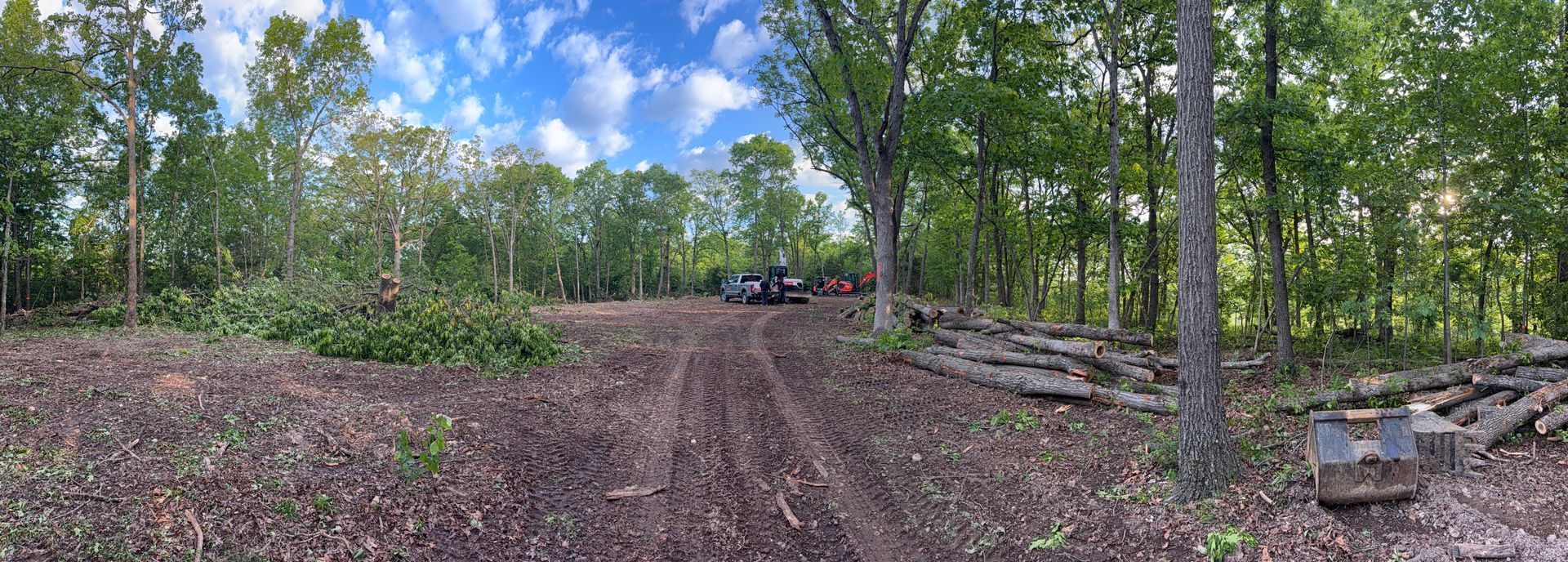 Wooded dirt clearing with tire tracks, trees, and a blue sky with clouds