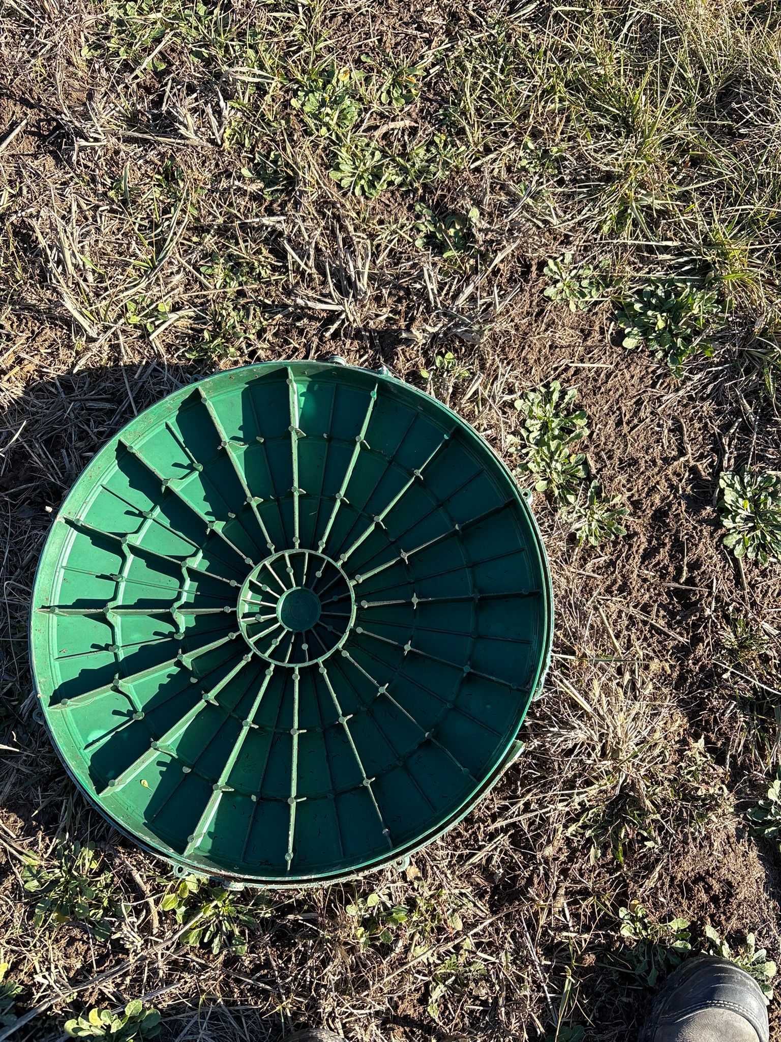 Green circular utility cover on grass, viewed from above, with a shoe tip at the bottom right.