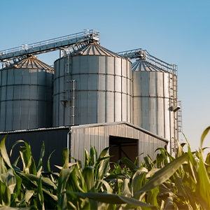 Agricultura e Agroindústria