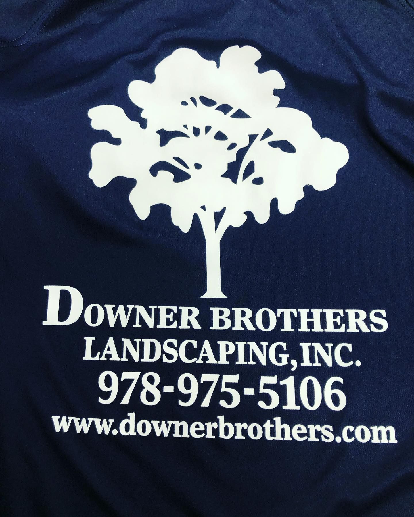 Dark blue shirt with white logo: tree graphic,