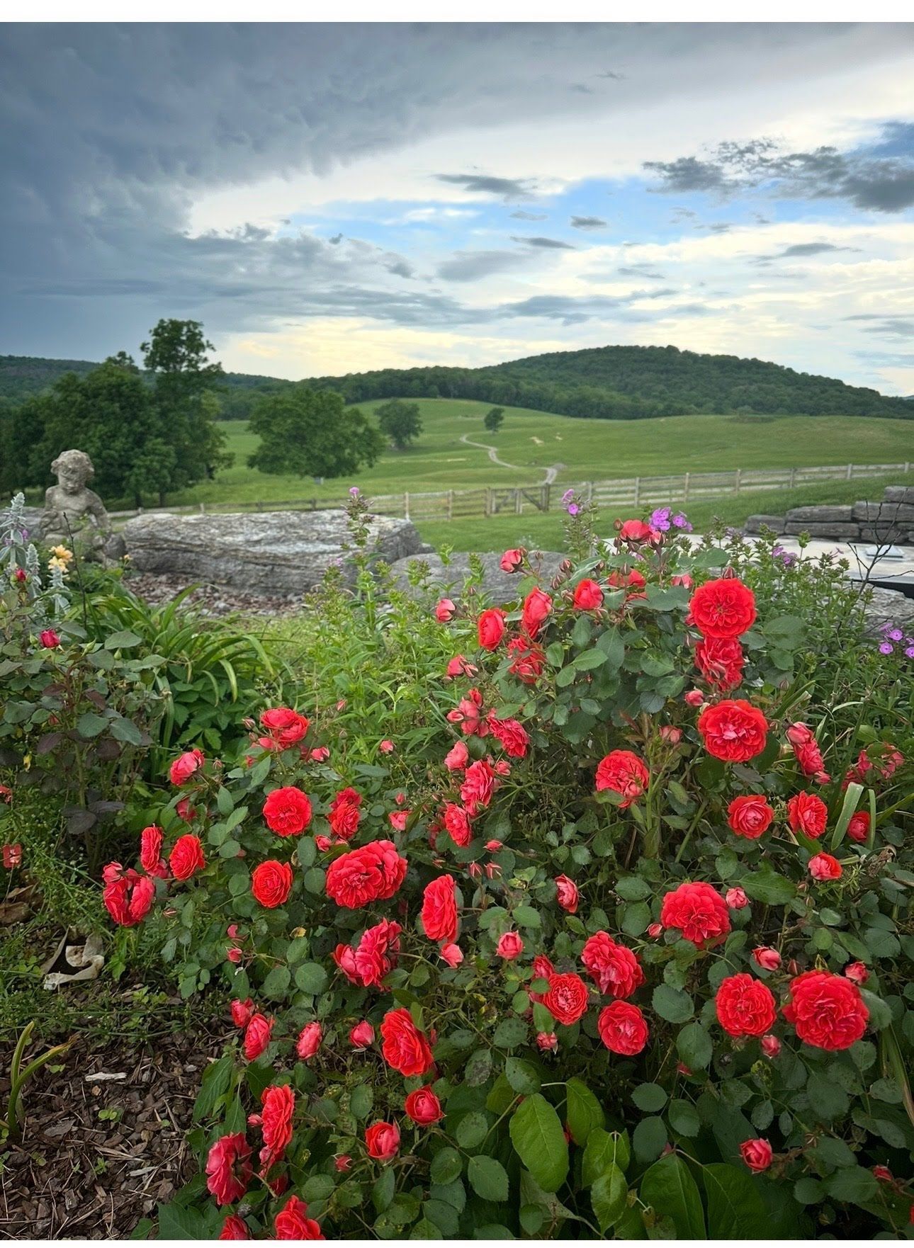 Thorneview gardens and landscaping