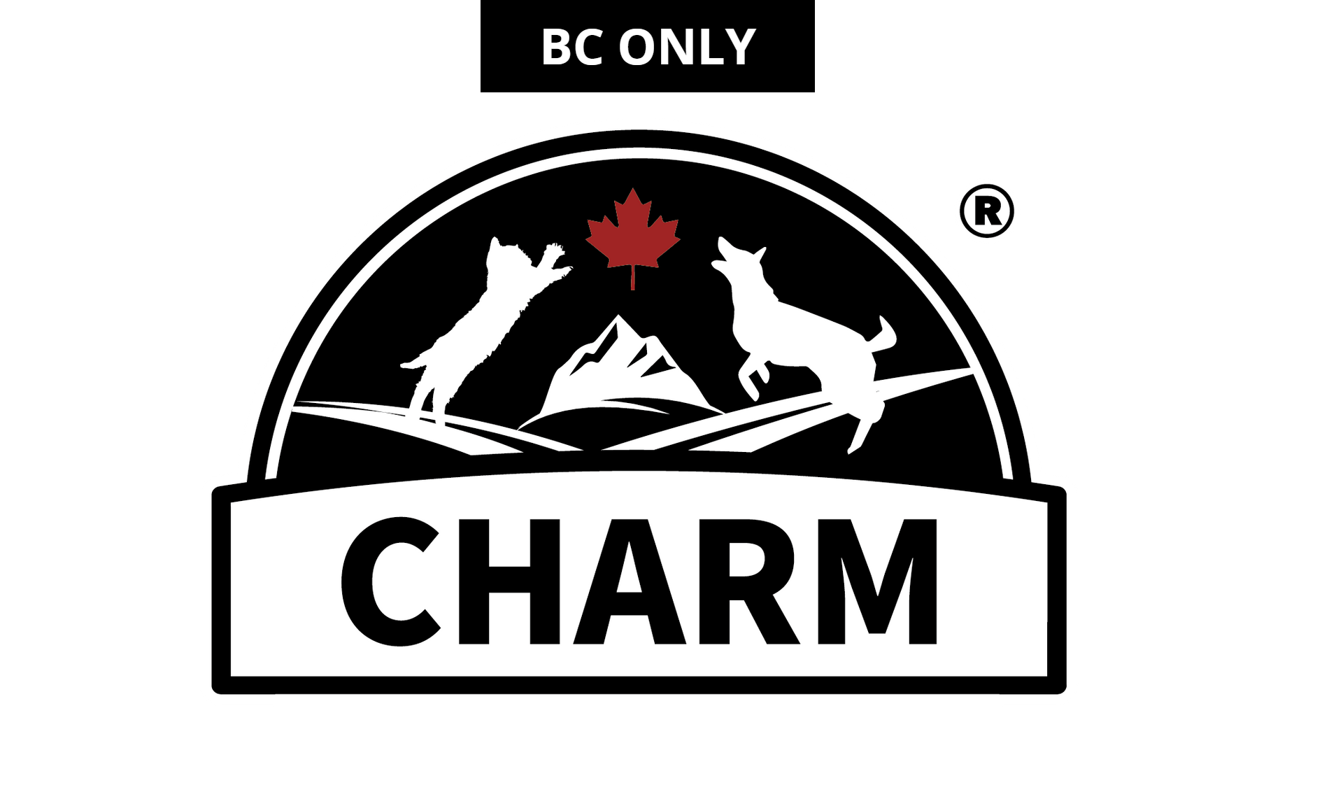Charm Canadian company