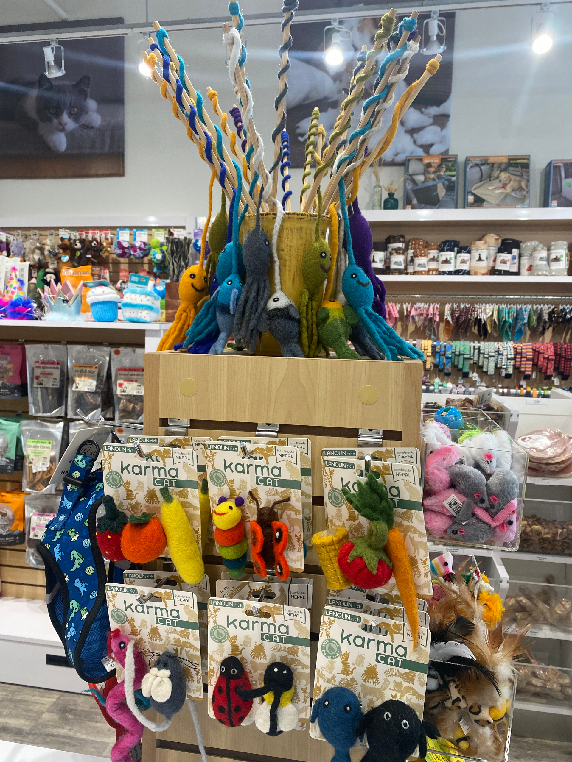Karma cat display