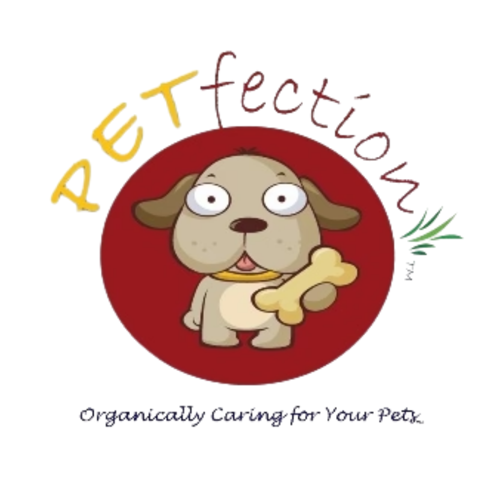 petfection dog wellnes 