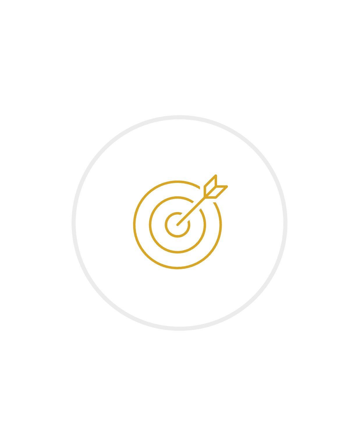 Bulls Eye with Arrow in it