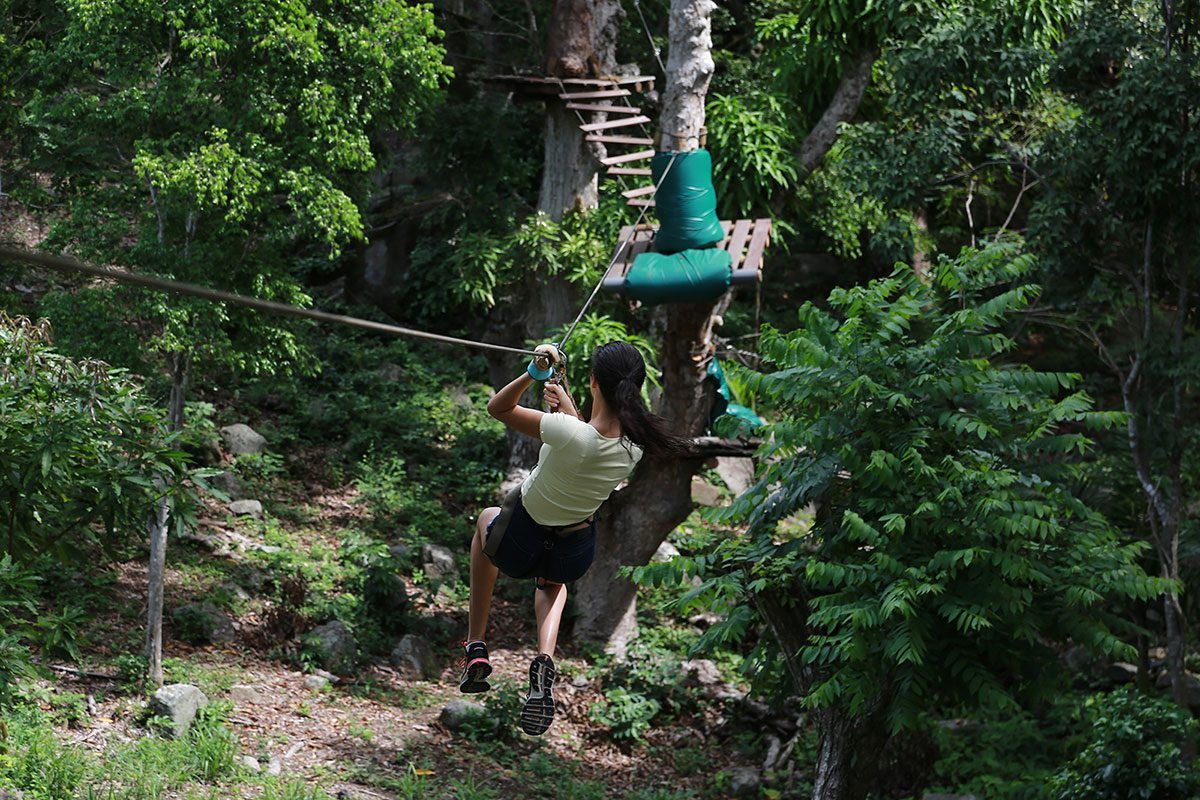 St Martin, FWI, nature activities & zip line