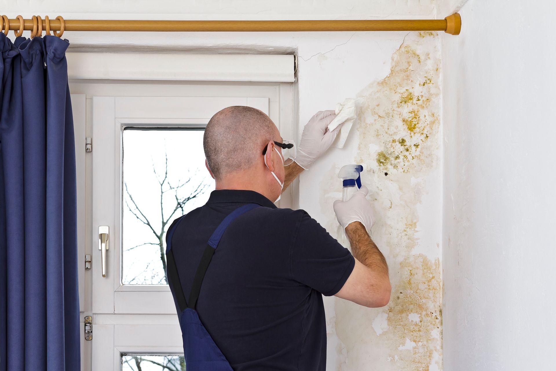 A man is removing mold from a wall. A man is removing mold from a wall.
