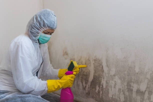 A worker from AAS Environmental is doing mold removal from a wall using a sponge and spray bottle in