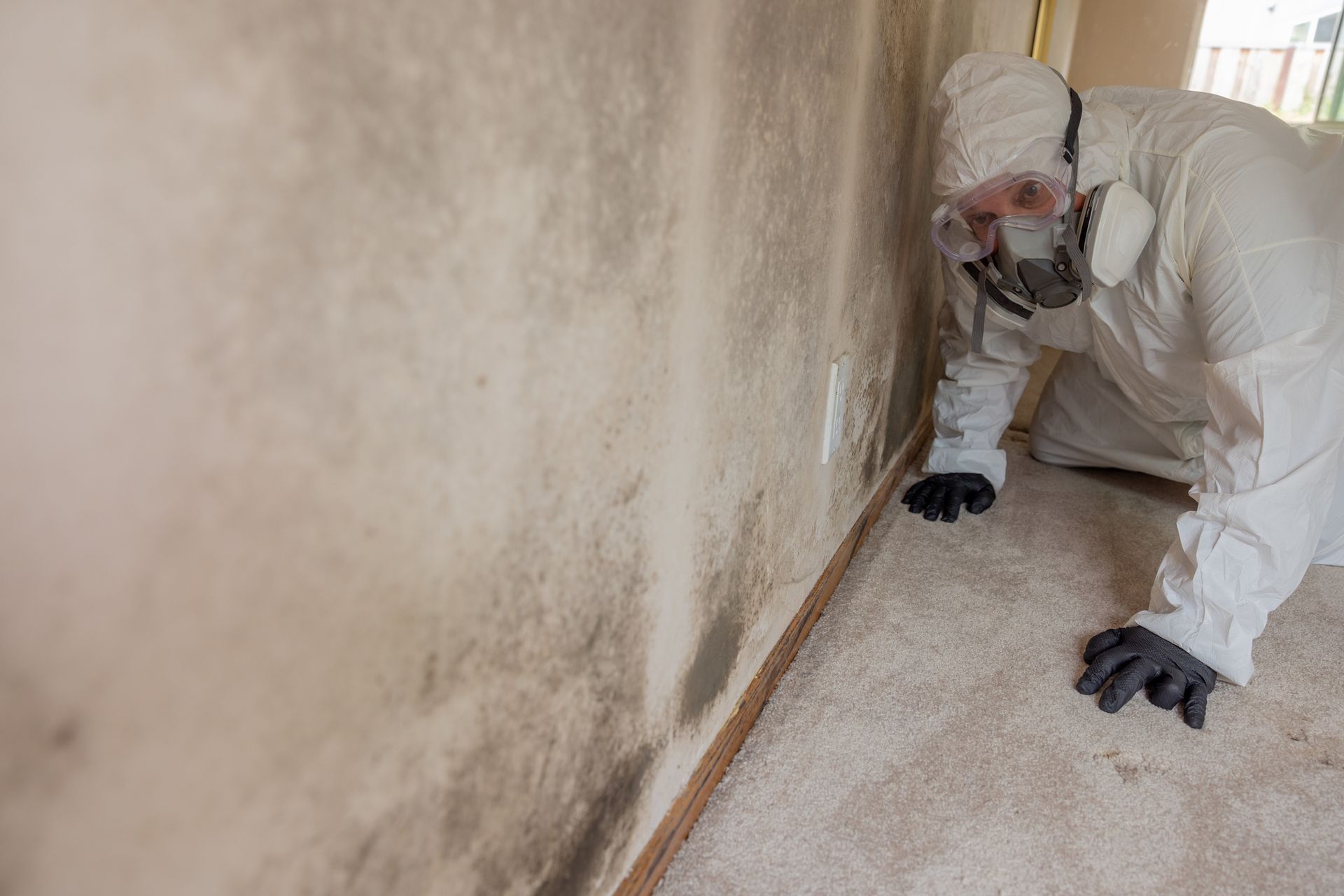 Certified mold removal technician inspecting mold damage in a residential property.