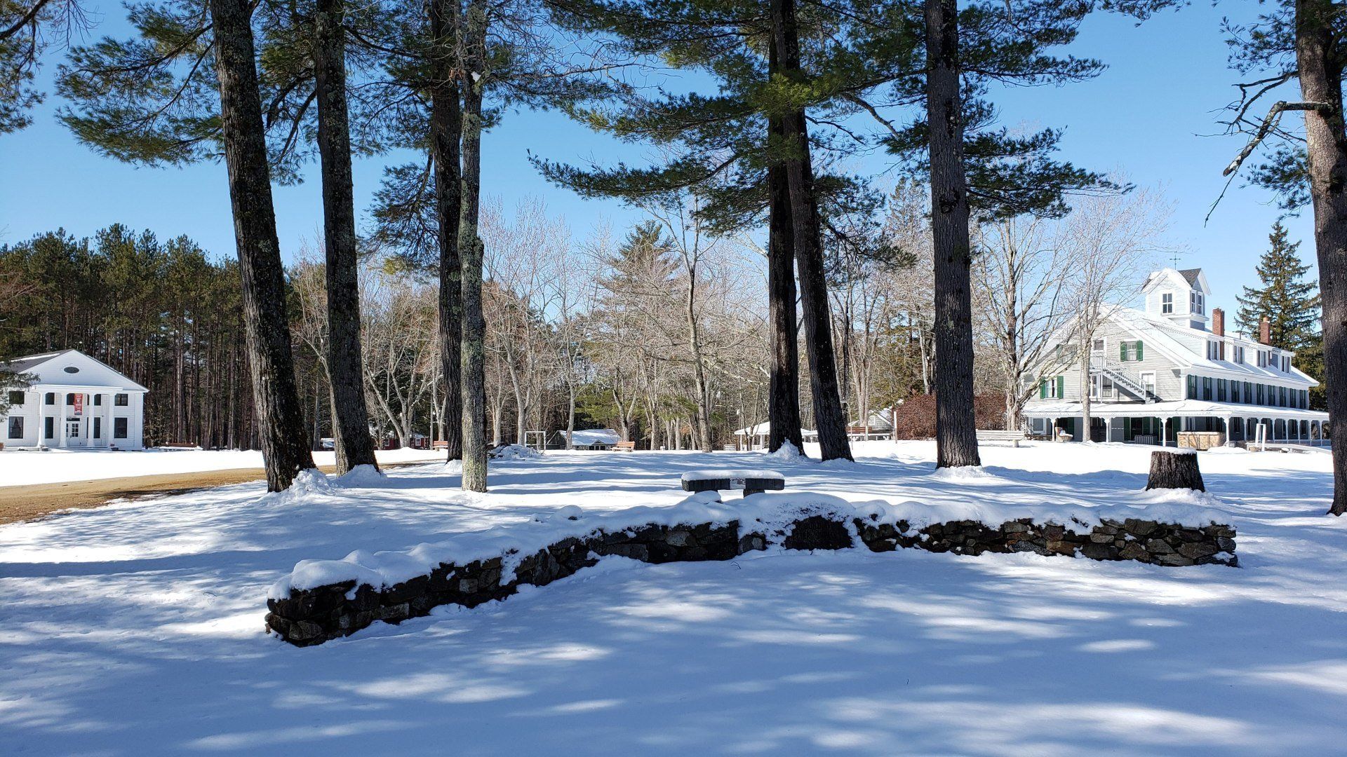 A snowy field with trees and a house in the background
